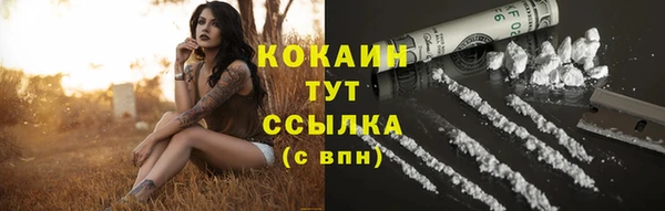 PSILOCYBIN Белоозёрский