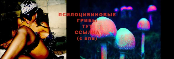 PSILOCYBIN Белоозёрский
