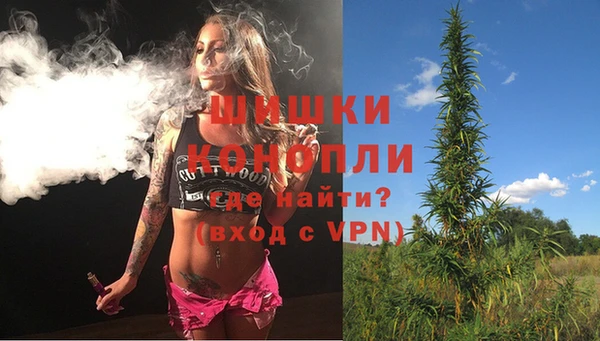 PSILOCYBIN Белоозёрский