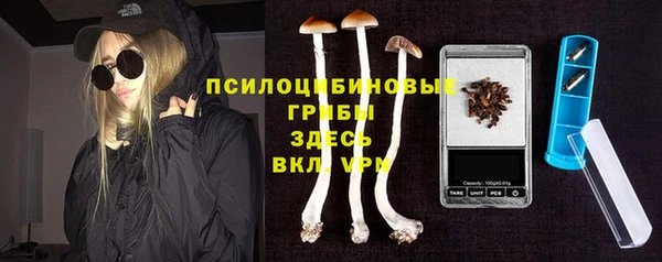 PSILOCYBIN Белоозёрский